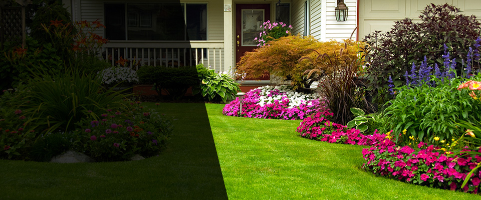 Davison Landscapers
