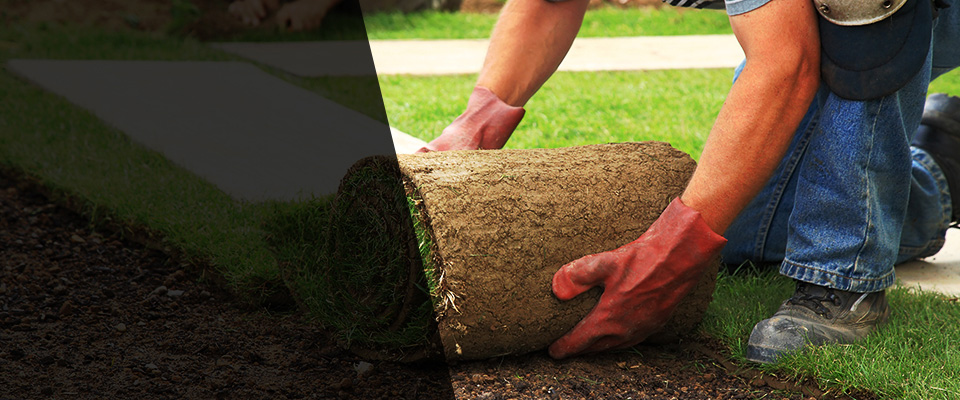 Davison Landscapers